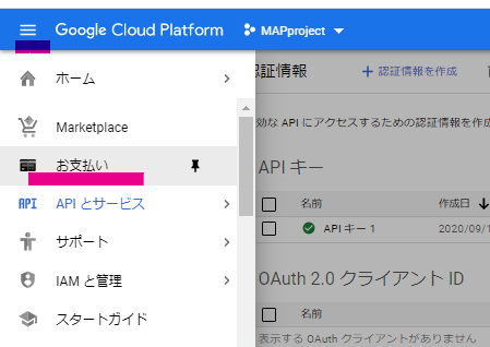 Google Apiキーを取得する Bindupサポートサイト